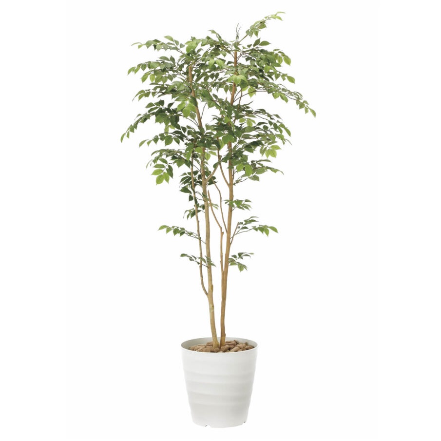 インテリア フェイクグリーン・人工観葉植物 マウンテンアッシュ1.8m 光触媒加工（V-CAT）｜七to八-Seven to eight-