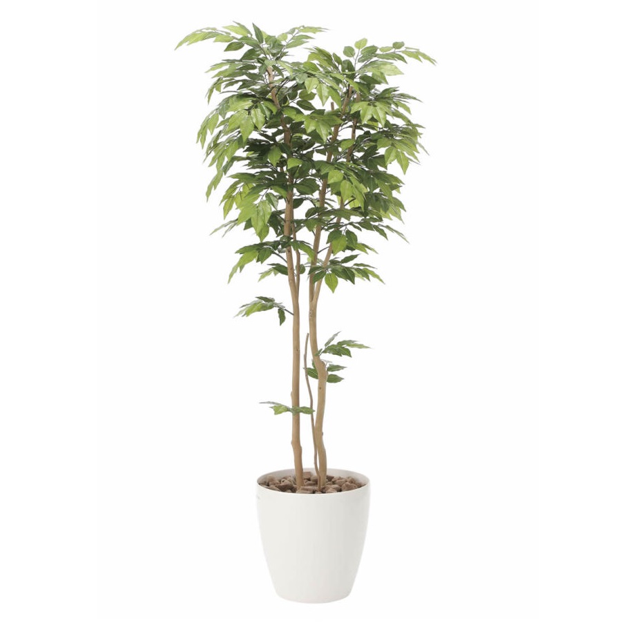 インテリア フェイクグリーン・人工観葉植物 ケヤキ1.8m 光触媒加工（V-CAT）｜七to八-Seven to eight-