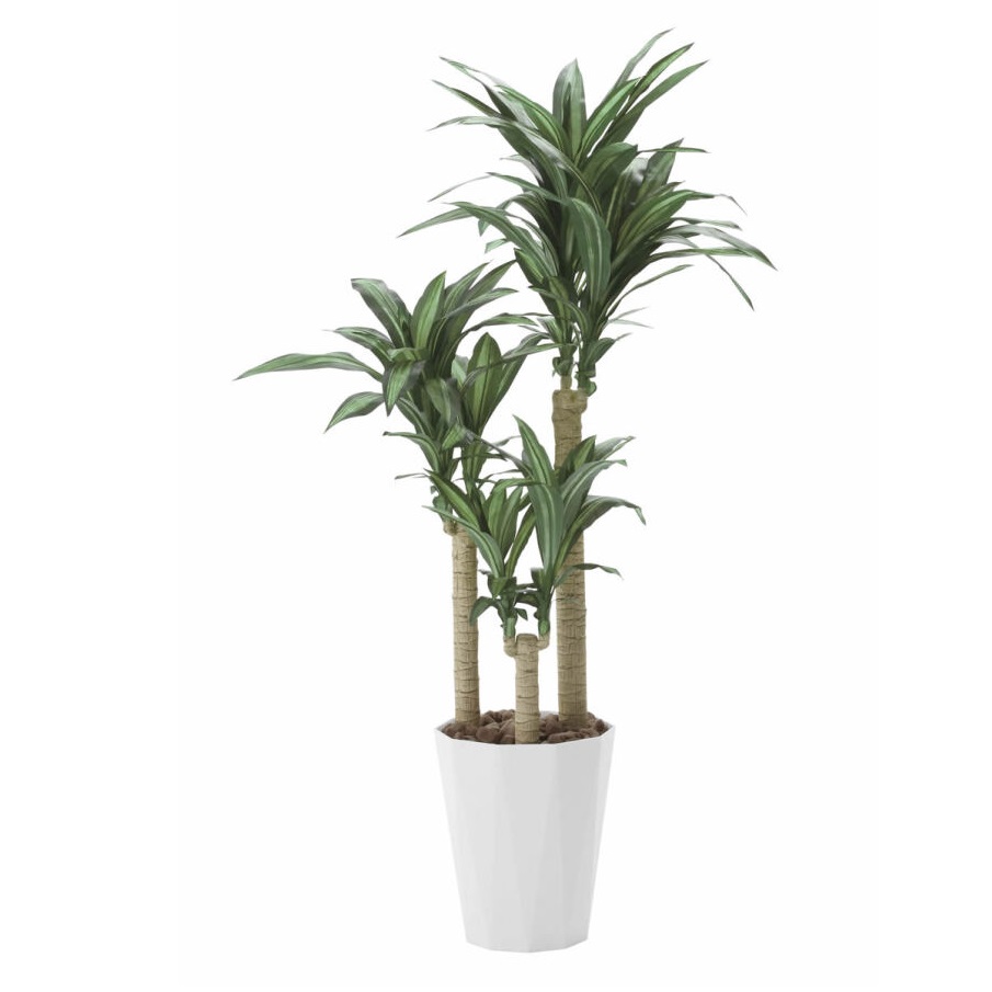 インテリア フェイクグリーン・人工観葉植物 幸福の木 1.6m 光触媒加工(V-CAT)|七to八-Seven to eight-