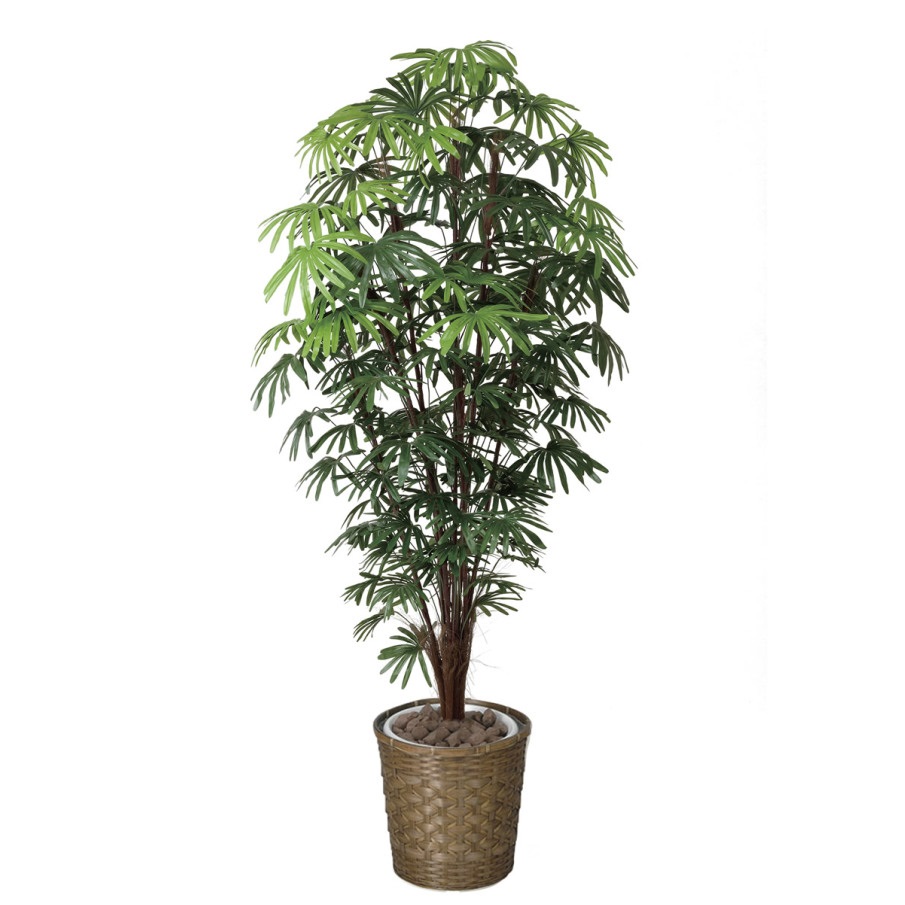 インテリア フェイクグリーン・人工観葉植物 シュロチク1.8m 光触媒加工(V-CAT)|七to八-Seven to eight-