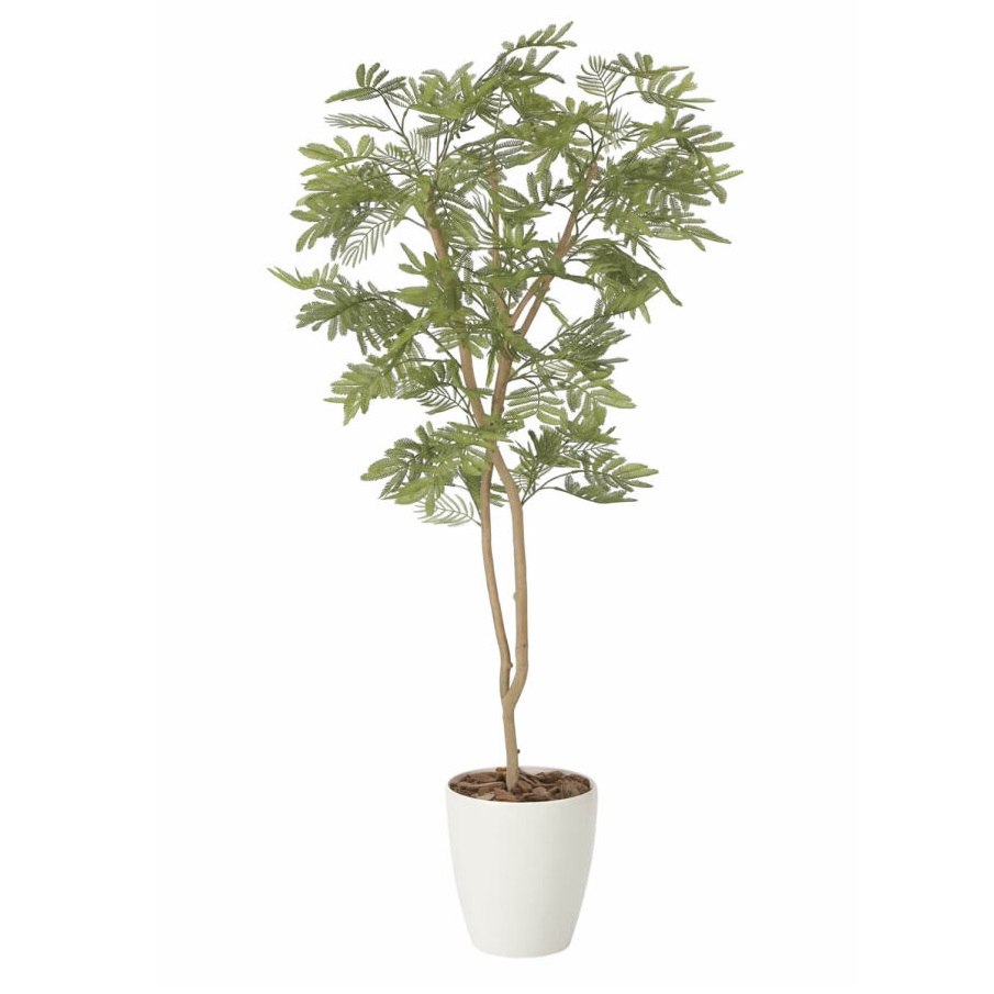インテリア フェイクグリーン・人工観葉植物 ねむの木 1.8m(ポリ製) 光触媒加工(V-CAT)|七to八-Seven to eight-