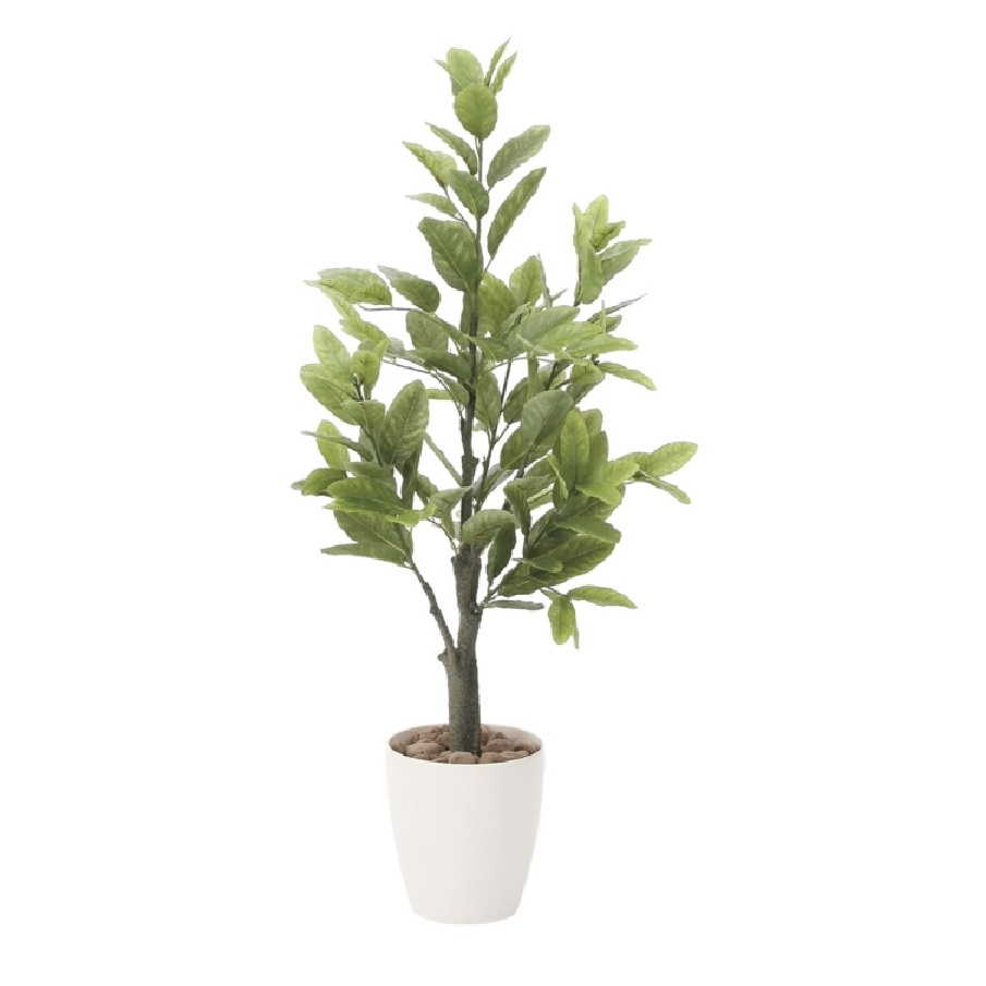 インテリア フェイクグリーン・人工観葉植物 レモン1.0m 光触媒加工（V-CAT）｜七to八-Seven to eight- 14,025円