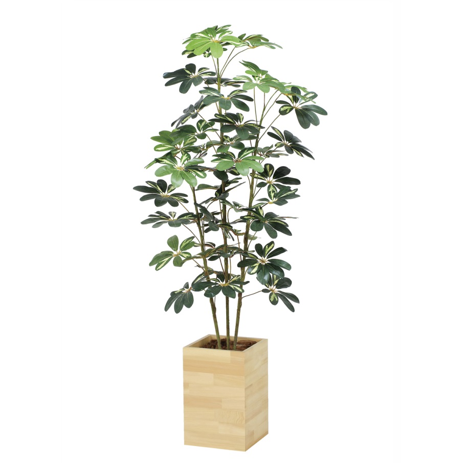 インテリア フェイクグリーン・人工観葉植物 ウッドボックスカポック1.6m 光触媒加工(V-CAT)|七to八-Seven to eight-