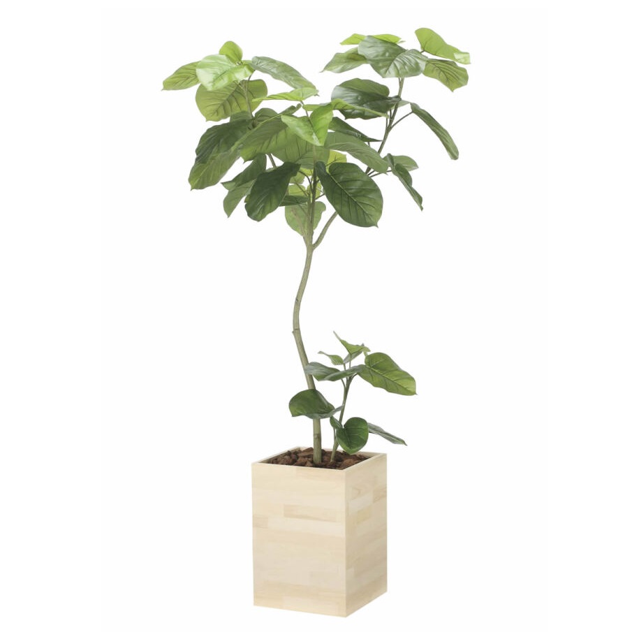 インテリア フェイクグリーン・人工観葉植物 ウッドボックスウンベラータW1.8m 光触媒加工(V-CAT)|七to八-Seven to eight-