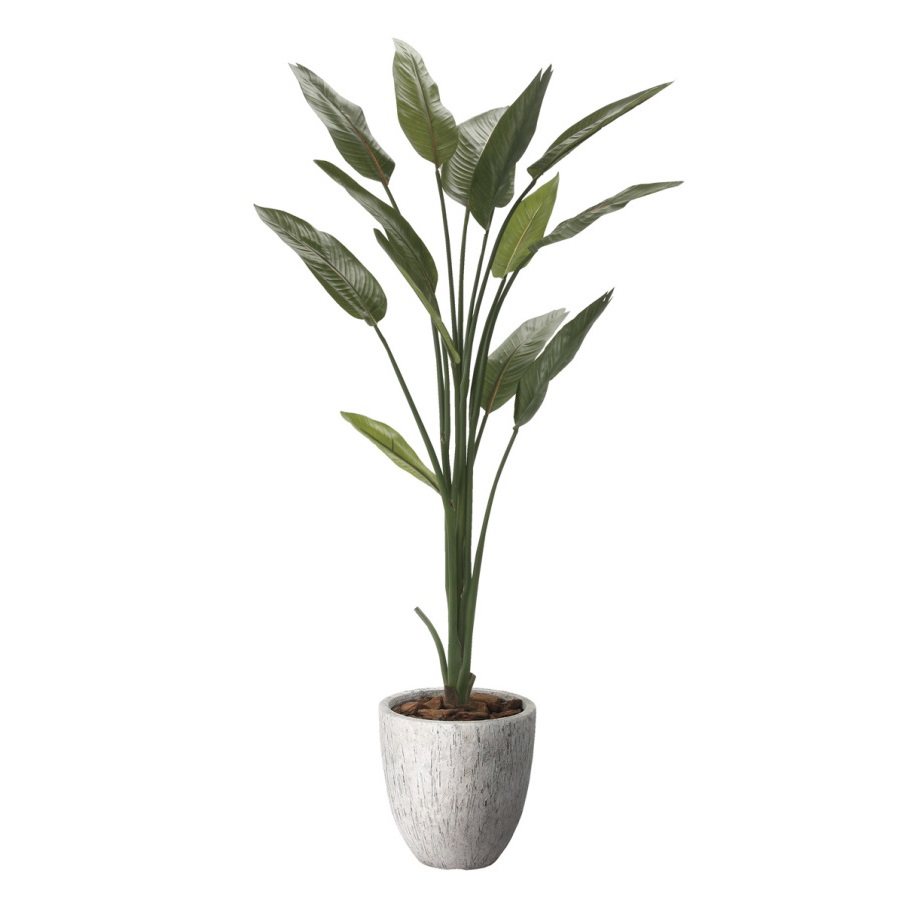 インテリア フェイクグリーン・人工観葉植物 ナチュラルストレチア1.6m 光触媒加工（V-CAT）