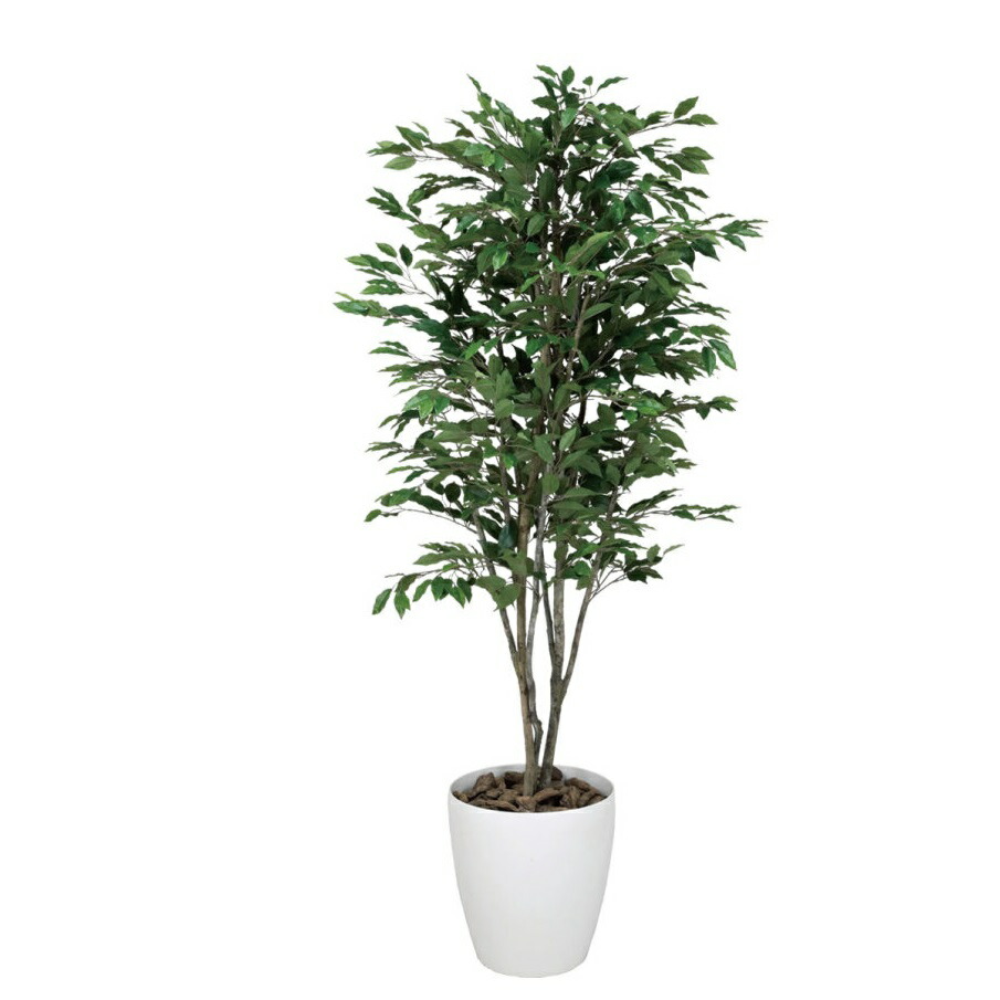 インテリア フェイクグリーン・人工観葉植物 ベンジャミンツリー 1.8m 光触媒加工（V-CAT）
