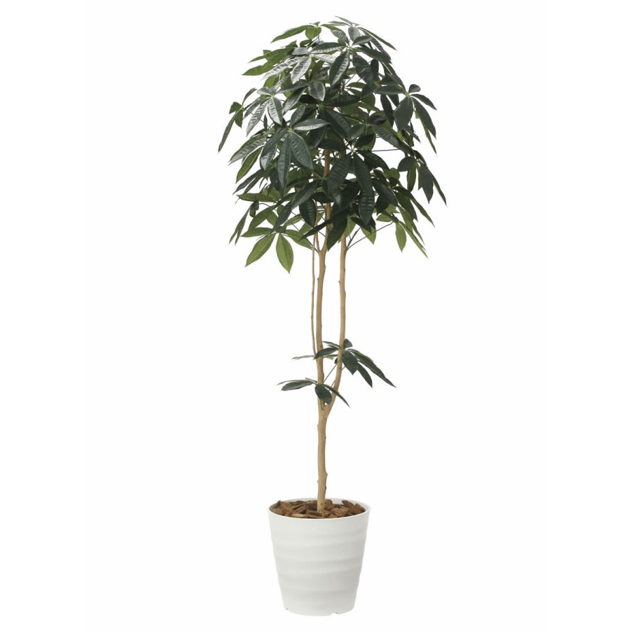 インテリア フェイクグリーン・人工観葉植物 デザインパキラ1.8m 光触媒加工(V-CAT)|七to八-Seven to eight-