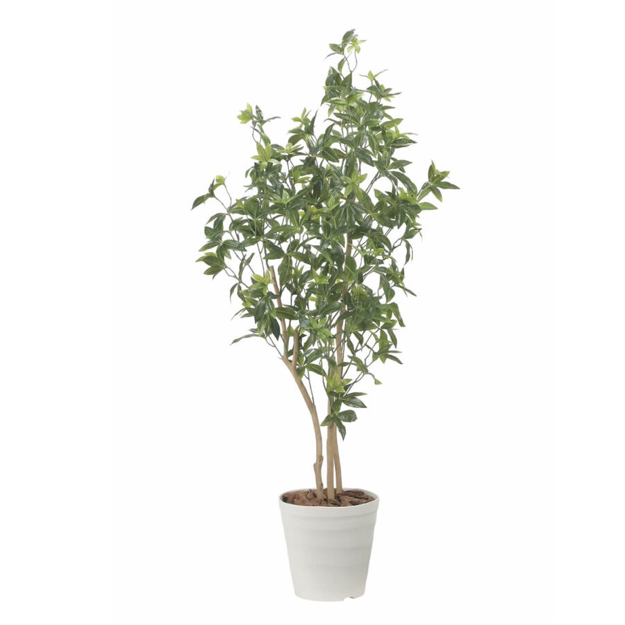 インテリア フェイクグリーン・人工観葉植物 デラックスフレッシュパキラ1.6m 光触媒加工(V-CAT)|七to八-Seven to eight-