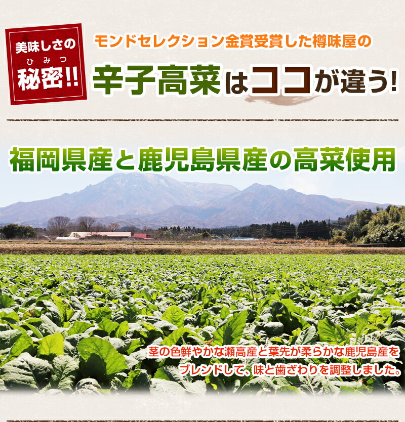 からし高菜5袋送料無料樽味屋高菜漬け辛子高菜激辛