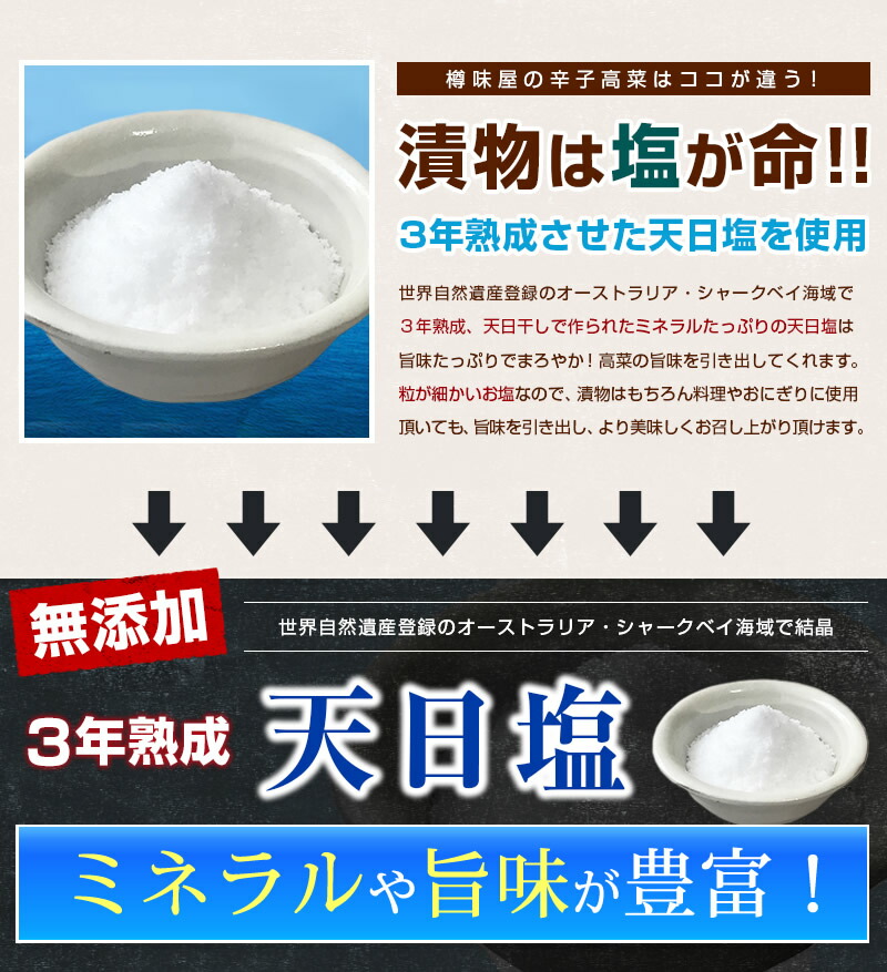 からし高菜5袋送料無料樽味屋高菜漬け辛子高菜激辛