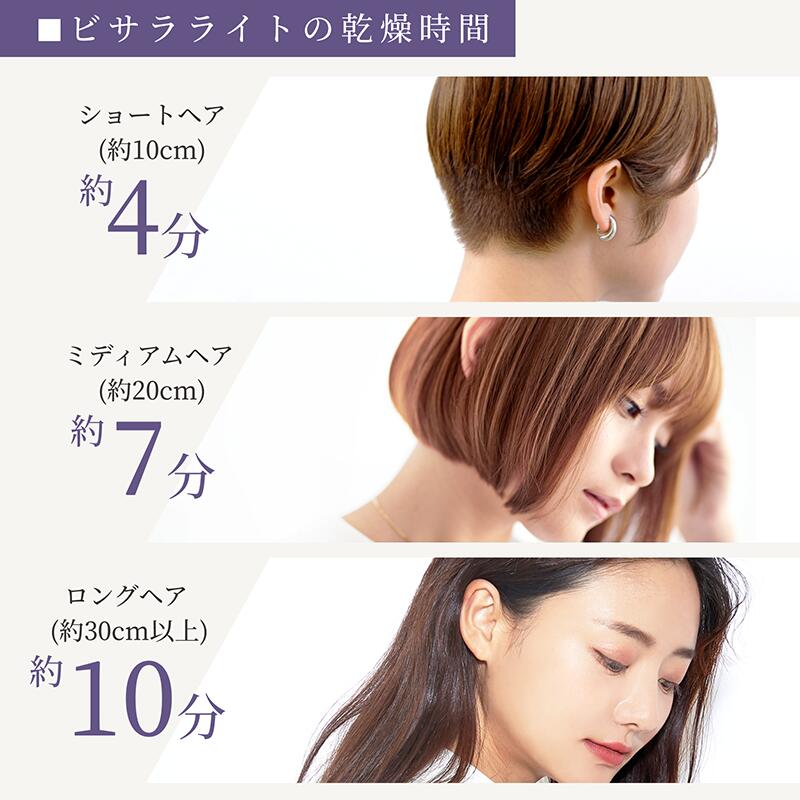 BISARA公式】 ビサラ BISARA Light ライト スタンドドライヤー ハンズ 