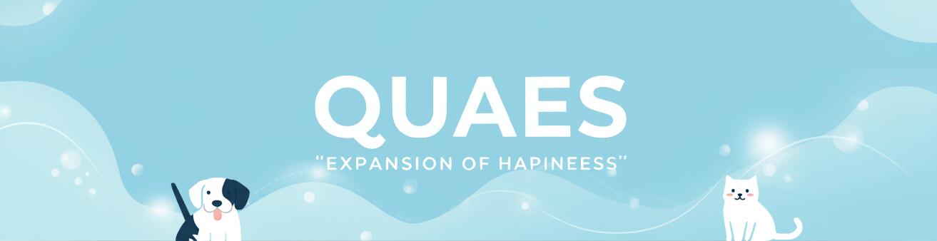 QUAESɤΤ¤󶡤Ǥͤ˱ĤƤޤ