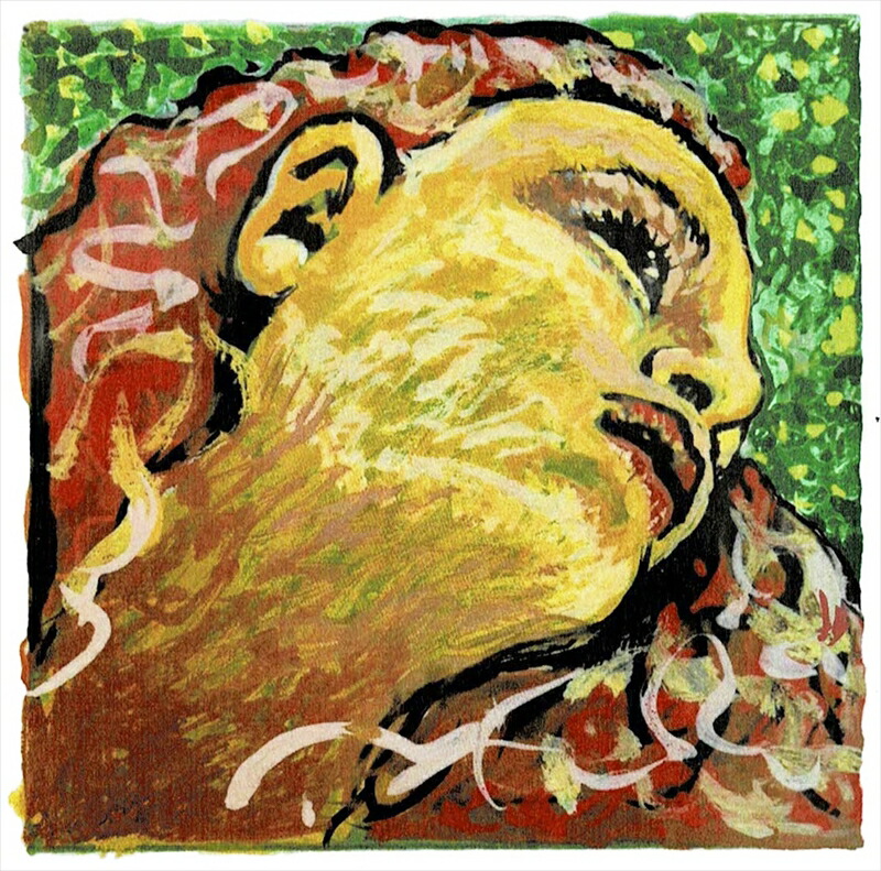 楽天市場】EVAH PIRAZZI NEO 【 D線 41B321 】 エヴァ