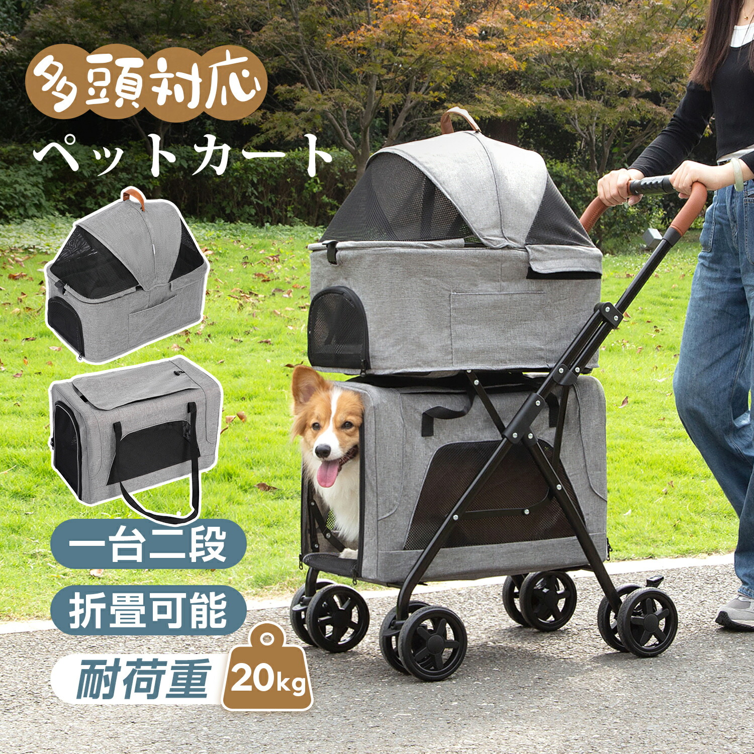 楽天市場】【4/30まで～P5倍☆先着15%OFFクーポン！！】ペット