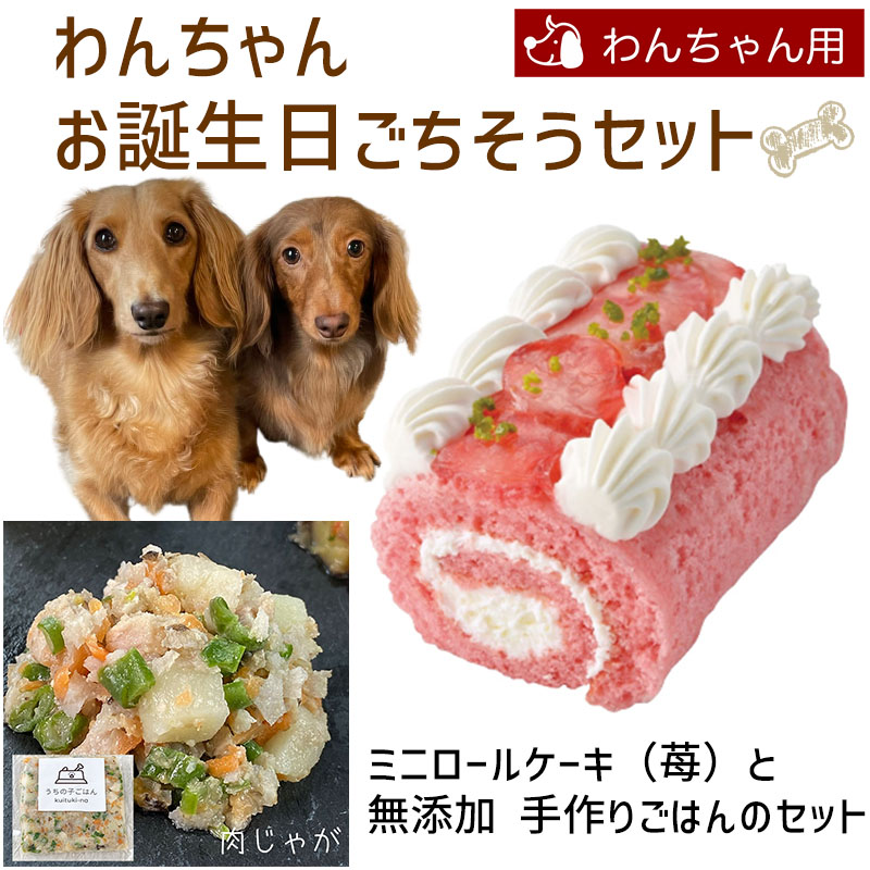 わんちゃんお誕生日ディナーセット フルーツタルトとバースデーデリケーキセット