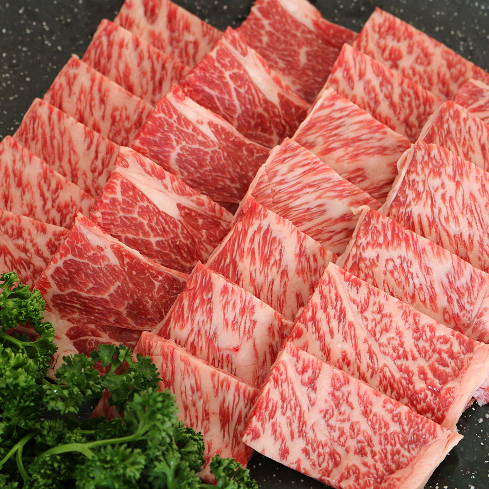 佐賀牛 肩ロース 焼肉 肩ロース480g 離島は配送不可