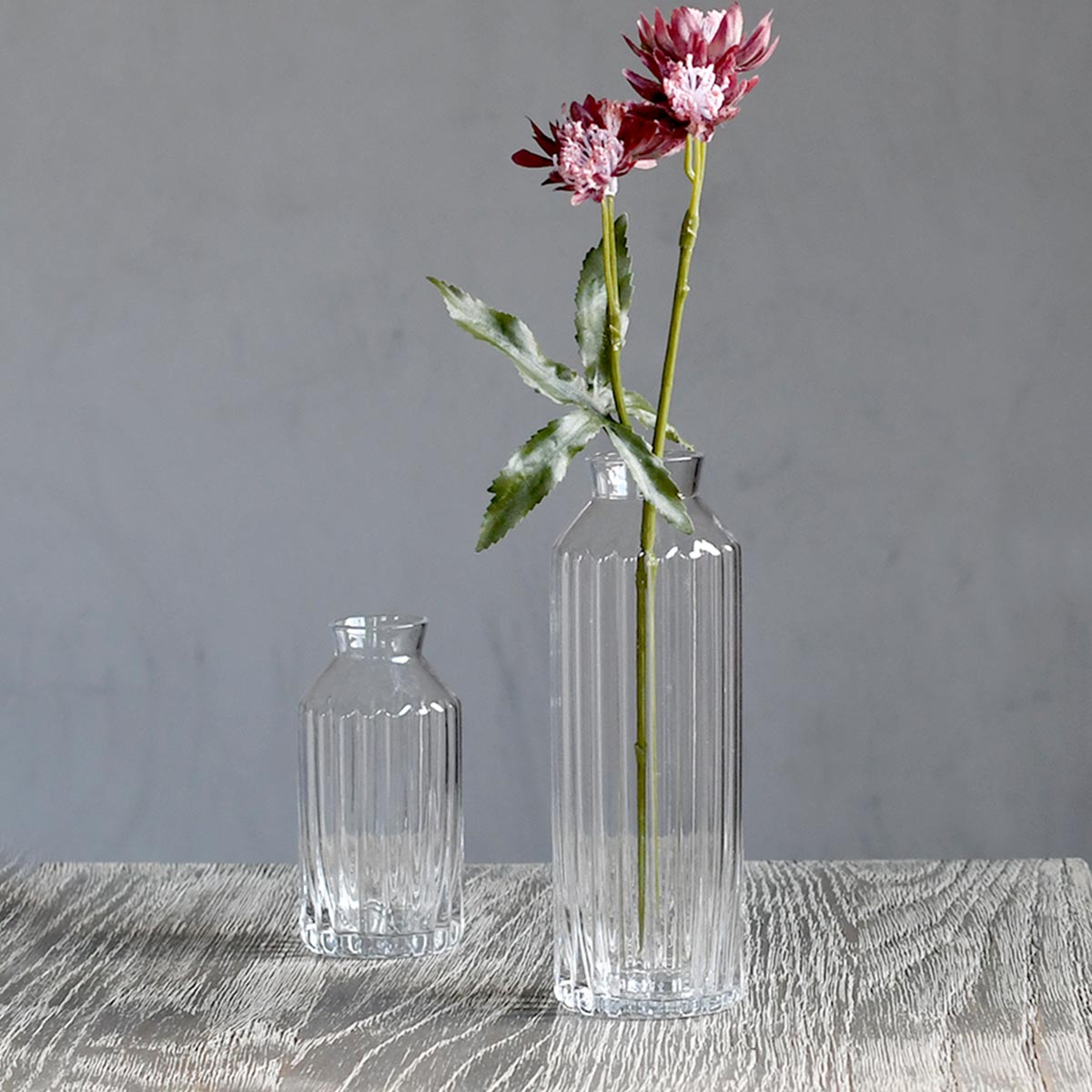 楽天市場】粒ベース・ワイド 10cm【Bobcraft ボブクラフト フラワー