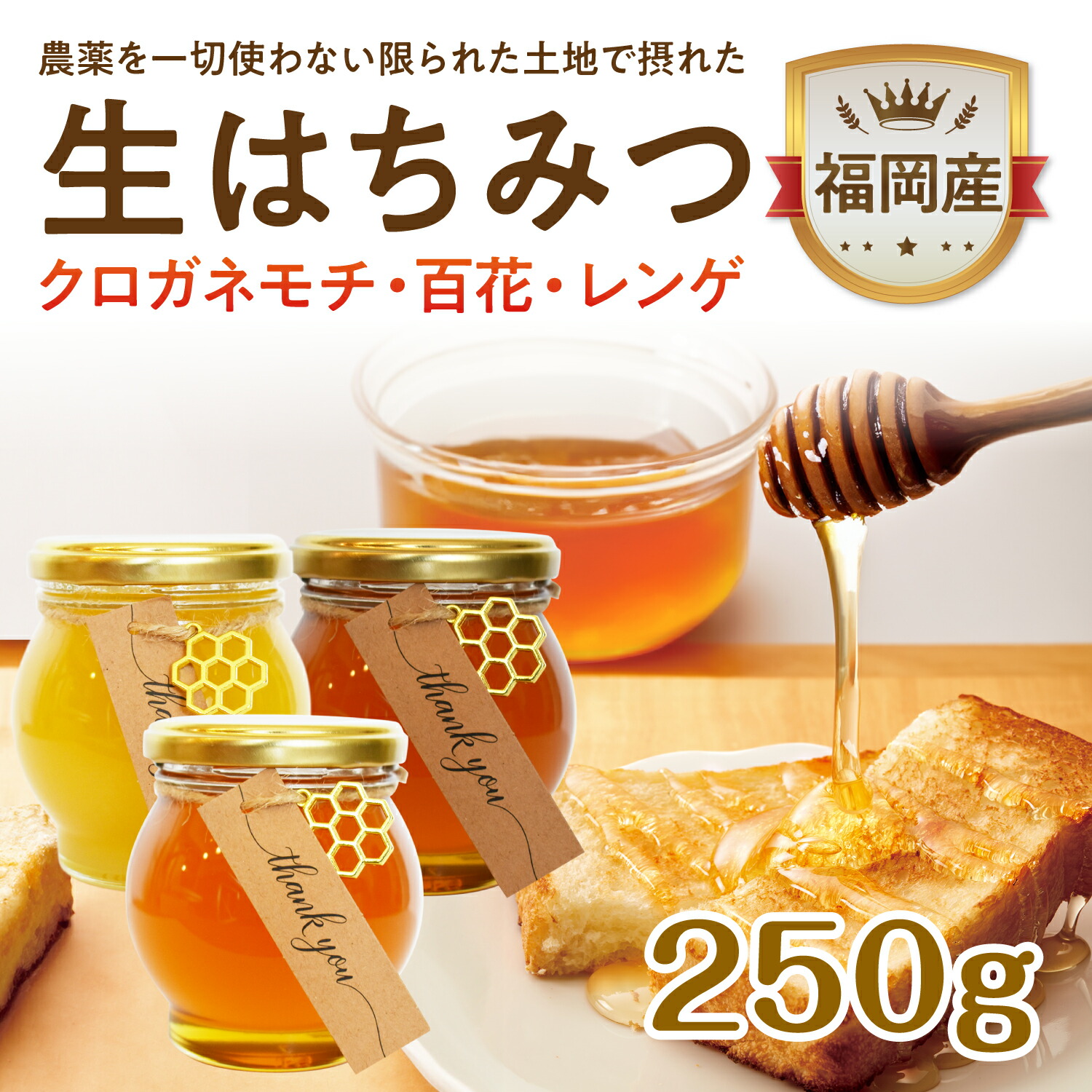 日本蜜蜂の天然ハチミツ　無添加　内容量５００g×2本 楽天市場】2025年新蜜 国産はちみつ 山桜 500g 2本 1kg お徳用