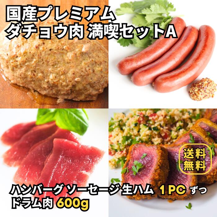 【肉＋加工品セットA】【国産 ダチョウ ドラム肉 600g + 国産ダチョウ ソーセージ, 生ハム, ハンバーグ 3種 各1パックセット】高タンパク 低脂質 グルメ お取り寄せ グルメ 送料無料