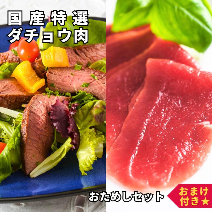 クイーンズオーストリッチ はじめてのダチョウ肉セット【おまけ付き】 柔らかフィレ肉 200g 生ハム ★レビューキャンペーン実施中★ 駝鳥 だちょう ダチョウ肉 赤身 たたき ステーキ ロースト バーベキュー アウトドア キャンプ お取り寄せ 高タンパク 低脂肪 送料無料