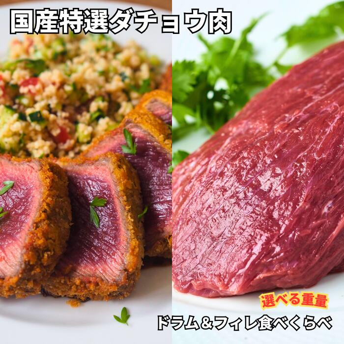 クイーンズオーストリッチ 国産特選ダチョウ 柔らかフィレ&旨みのドラム 食べくらべセット 600g～1.5kg前後＼ 選べる量★レビューキャンペーン実施中★ 駝鳥 だちょう ダチョウ肉 ステーキ ロースト バーベキュー アウトドア キャンプ お取り寄せ 高タンパク 低脂肪 送料無料