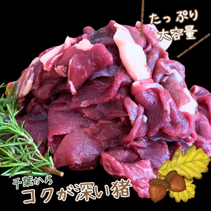 《三つ星店でも使われる》千葉産 猪（イノシシ）切り落とし 選べる重量 500g・1kg・2kg【千葉産】★レビューキャンペーン実施中★ 猪 いのしし イノシシ ジビエ 猪肉 ぼたん鍋 すき煮 生姜焼き 鍋 キャンプ アウトドア お取り寄せ グルメ 送料無料