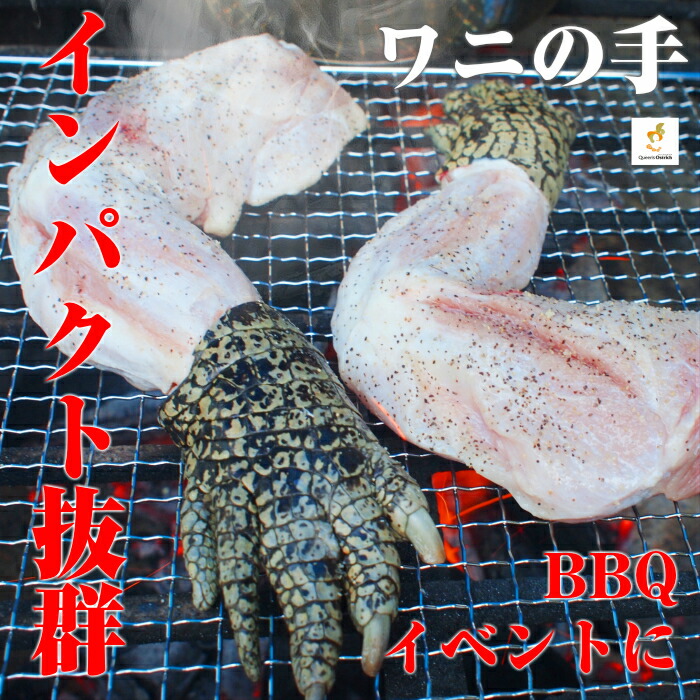 （大容量・お得）クロコダイルつめ 800g前後 ワニ肉★TVやネットで話題沸騰【代引き不可】食用 / ワニ / ワニ肉 / 珍肉 /  バーベキュー/ イベント / アウトドア/ キャンプ / パーティ / 肉 / ハロウィン / クリスマス / 食材 /  ワニの手 / 大容量 / お得