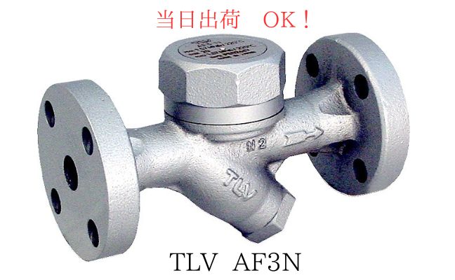 楽天市場】TLV AF3N 10KFF 25A (1B)FC 鋳鉄製 ディスク スチーム
