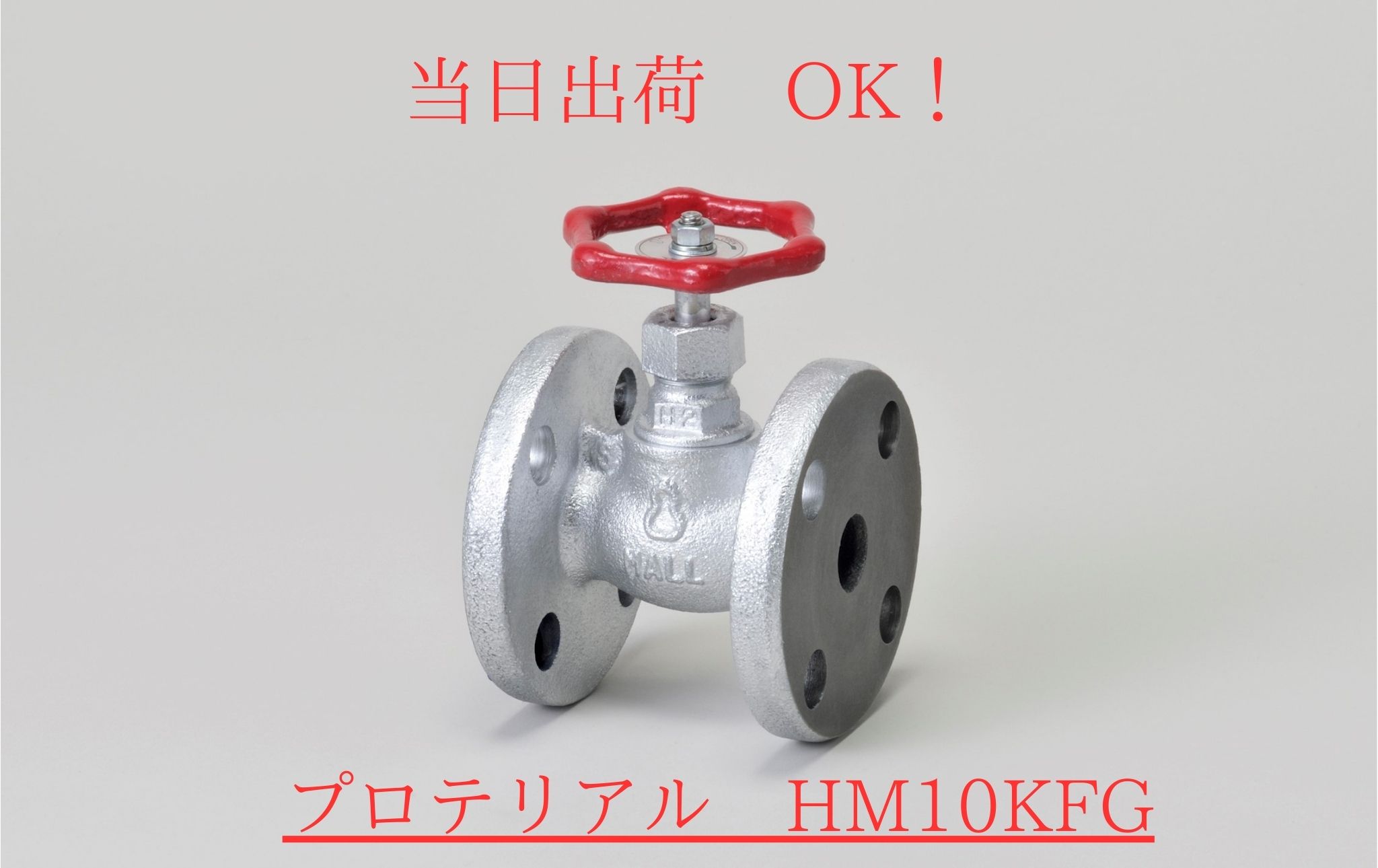 桑名金属工業 (旧プロテリアル 日立金属) HM10KFG 25A (1B) マレブル 玉形弁 グローブバルブ フランジ形 汎用 10Kタイプ｜クイック サプライ