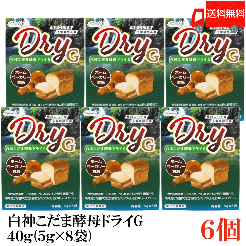 送料無料 パイオニア企画 白神こだま酵母ドライG 40g (5g×8袋) ×6個