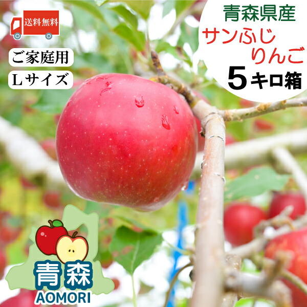楽天市場】【送料無料】 青森県産 りんご サンふじ マルクニアップル
