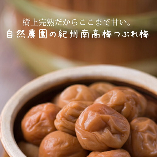 紀州南高梅 つぶれ梅 1.4kg お得用 訳ありつぶれ梅 父の日 母の日 敬老の日 プレゼント ギフト