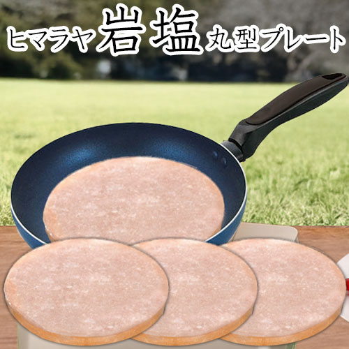 岩塩プレート ヒマラヤ岩塩 3枚 バーベキュー BBQ アウトドア 丸型 20cm