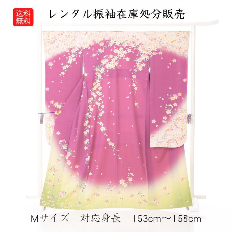 賃貸振袖取り計らう品