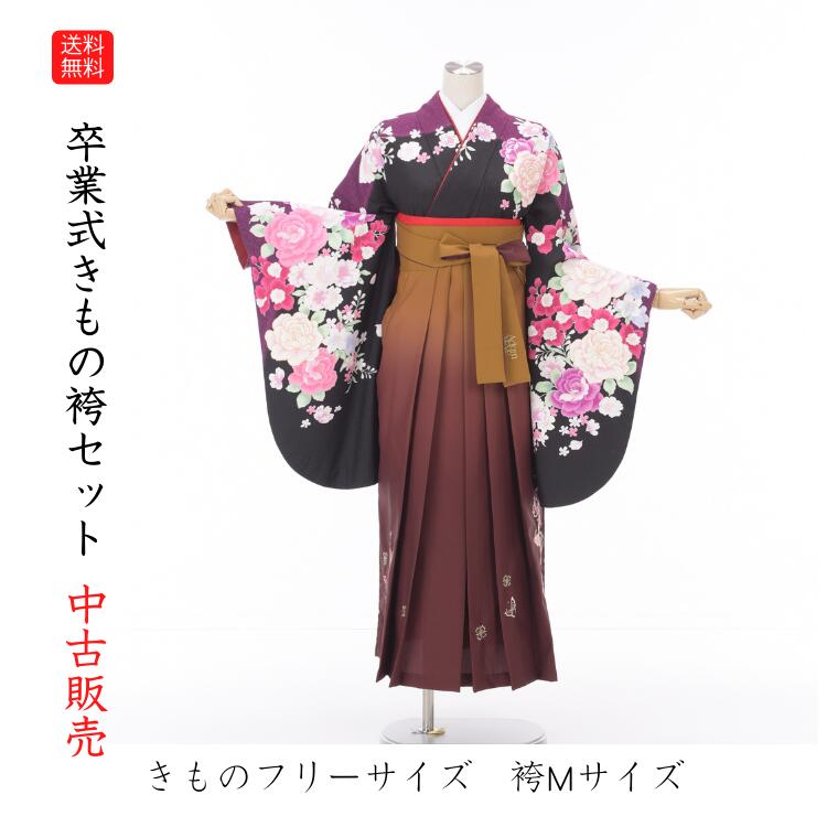 【中古】送料無料 袴 二尺袖 半巾帯 中古販売 フルセット 卒業式 小振袖 中古 販売 中古セット 処分品 リサイクル 貸衣装処分 着物 着付け 練習用 フリーサイズ カラオケ衣装 舞台衣装 バイセル 発表会 アウトレット｜きもの　ショップ　アミ
