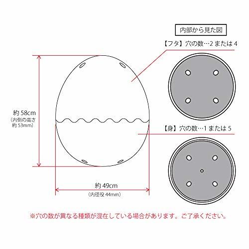 楽天市場 イースターエッグ たまご カプセル プラスチック パカッ とたまごカプセル ギザギザカット パステル5色アソート 50個入り エッグハント 卵カプセル イースター たまご 飾り イースター グッズ あミューズ 楽天市場店