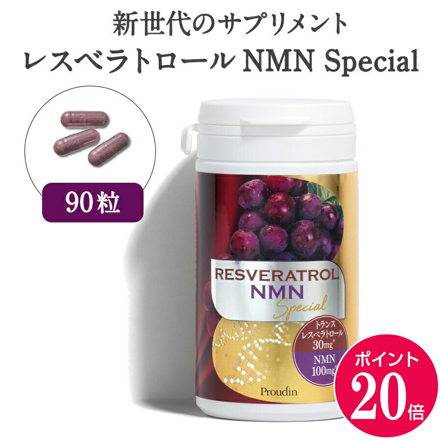 銀座ステファニーの謂われ因縁 since1992