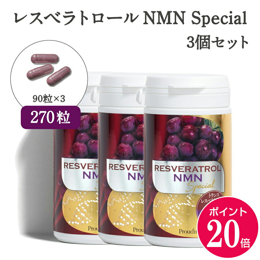 銀座ステファニーの謂われ因縁 since1992