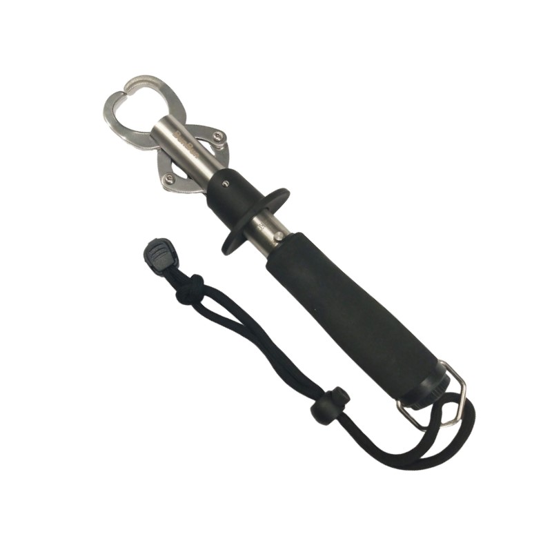 楽天市場】ブンブンオリジナル(BunBun) オールラウンドライト