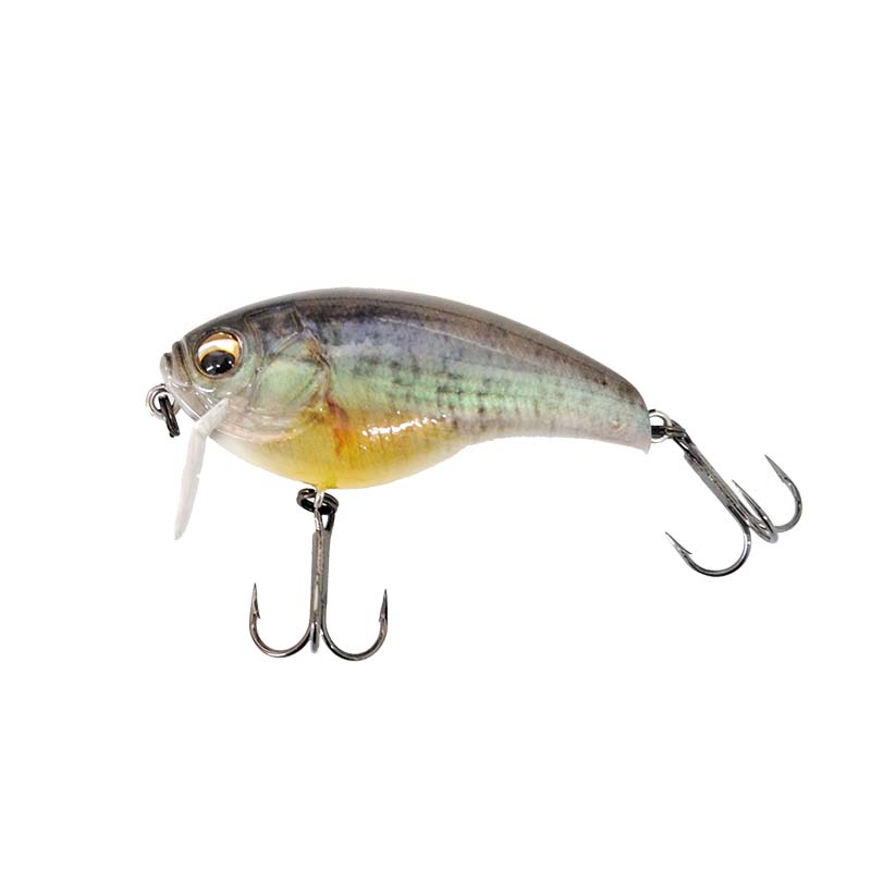 楽天市場】イマカツ バスワーム145 3Dリアリズム #S-485 3DRレインボー