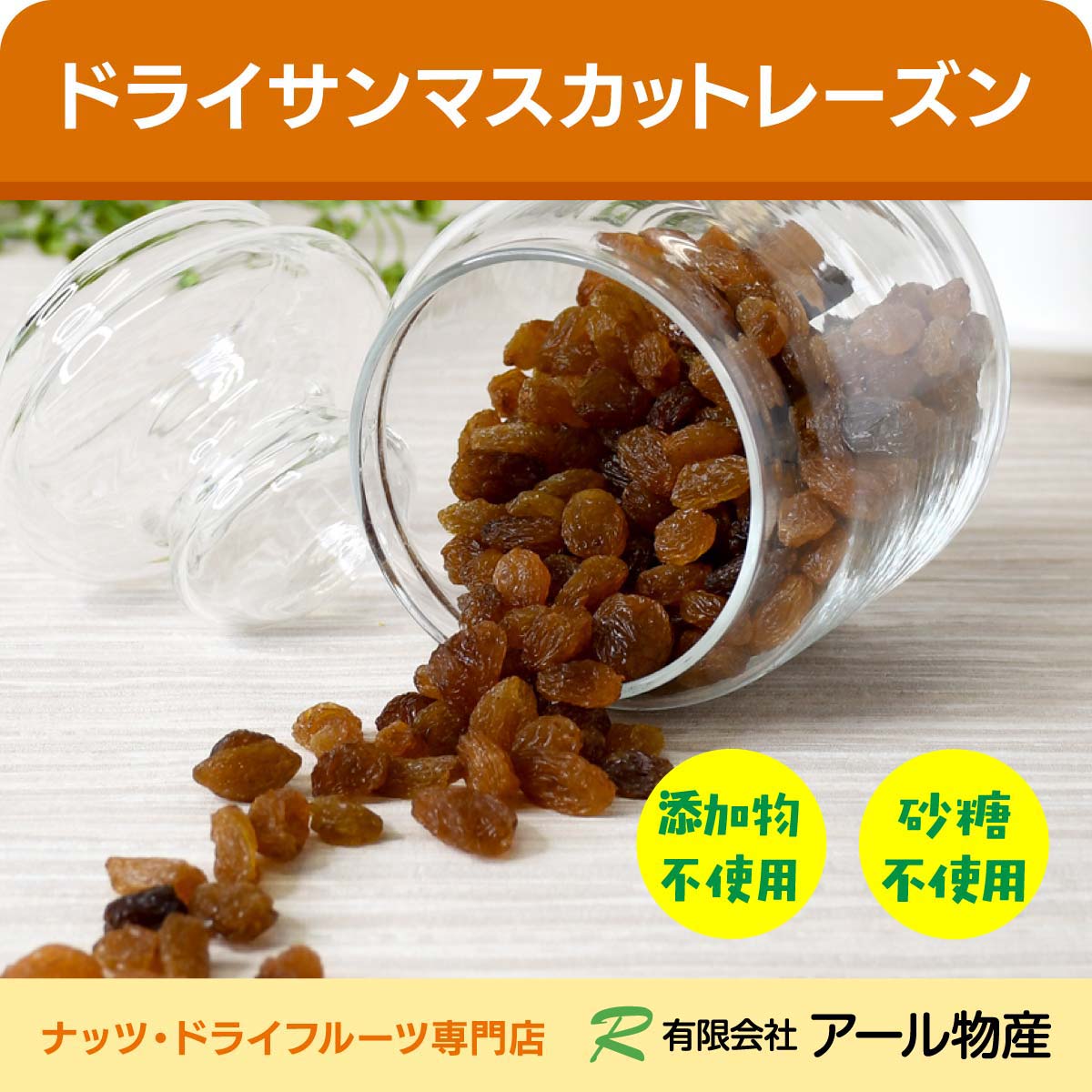 【楽天市場】ドライサンマスカットレーズン[添加物不使用・砂糖不使用] 送料無料 500g オーストラリア産 油不使用 干しぶどう 葡萄 ドライ ...