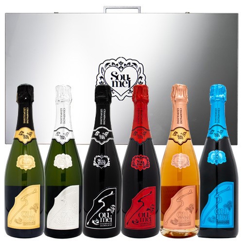 ソウメイ soumei アタッシュケース 楽天市場】ソウメイ アタッシュケース コンプリート6種 750ml NV