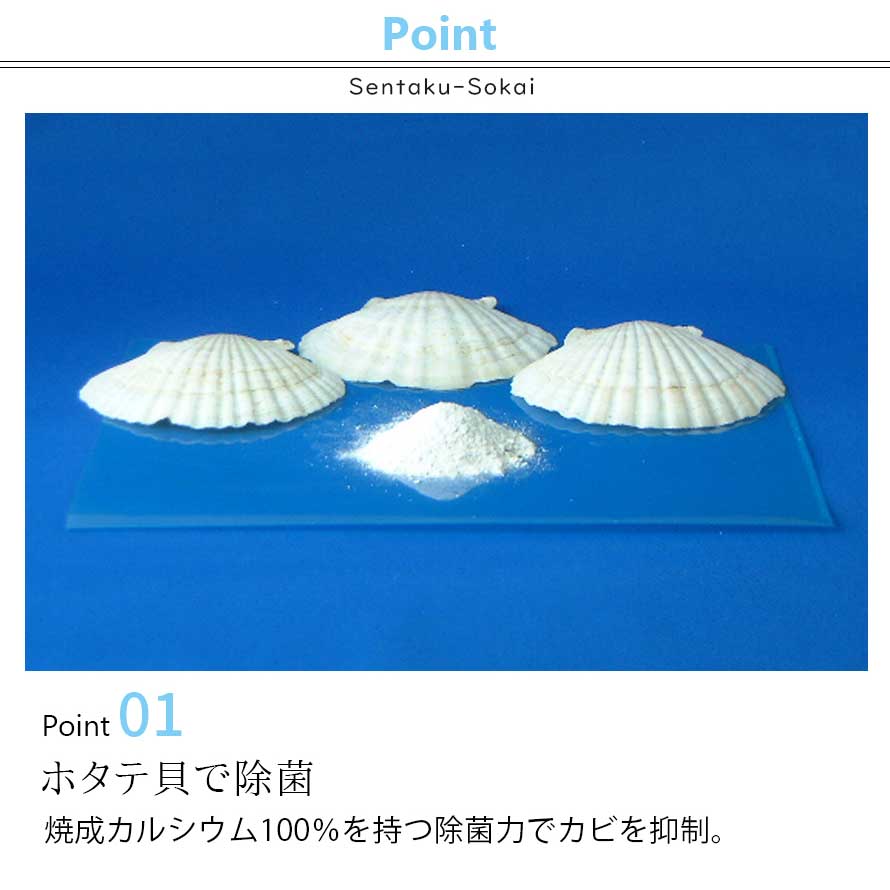 洗濯槽クリーナー 洗濯槽快 ドラム式 洗濯槽 クリーナー 生乾き ニオイ 臭い 生乾き臭 部屋干し 室内干し グッズ 除菌 消臭 洗濯 カビ取り カビ防止 カビ予防 防カビ 黒カビ 掃除 汚れ 対策 防止 洗濯機 洗濯用品 2個セット セット 天然成分 赤ちゃん ベビー 子供