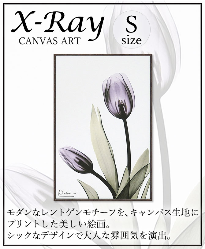 楽天市場 絵画 アートパネル 絵 花 モダン おしゃれ X Ray キャンバスアート チューリップ Xr ココチのくらし雑貨店