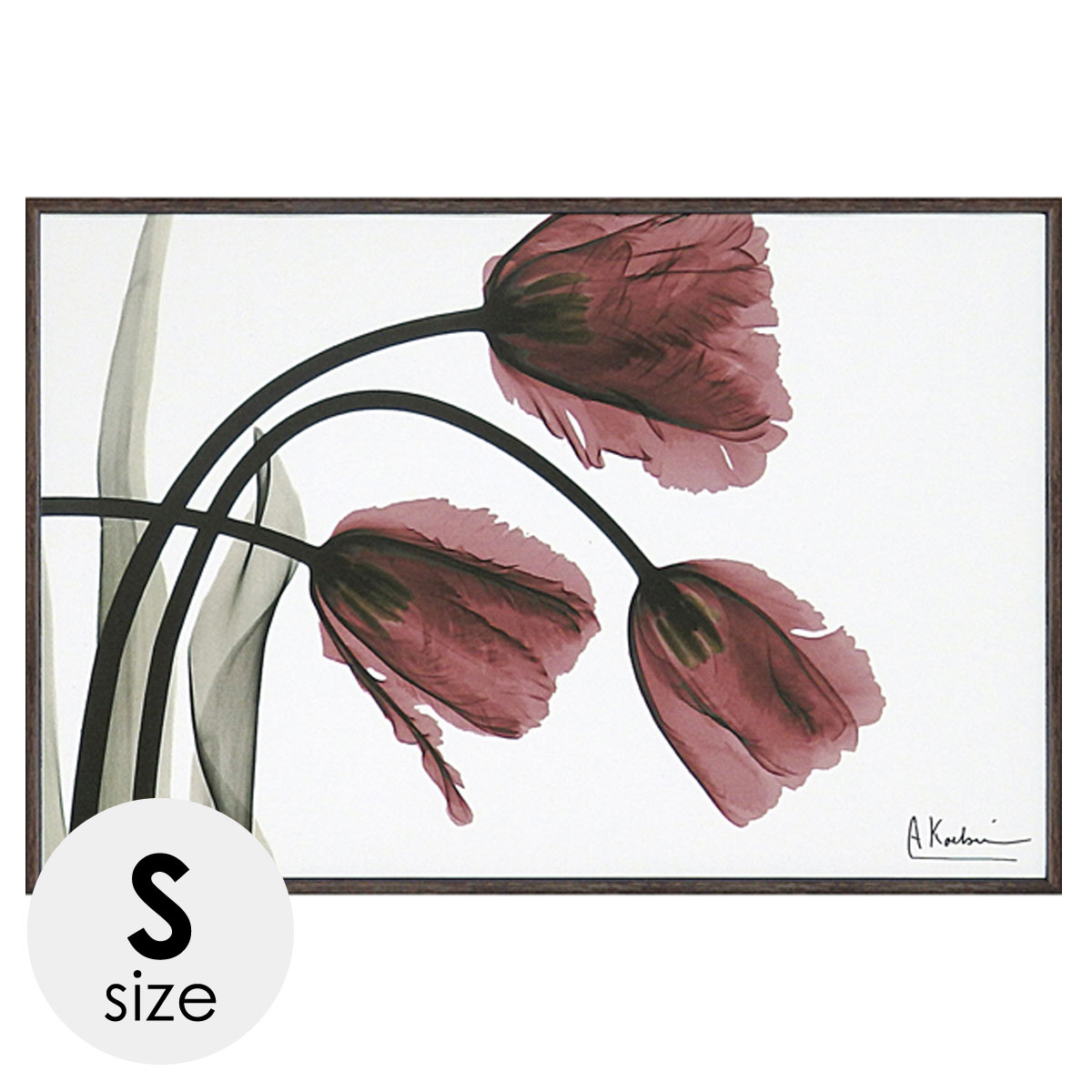 楽天市場 絵画 アートパネル 絵 花 モダン おしゃれ X Ray キャンバスアート フリンジチューリップ Xr ココチのくらし雑貨店