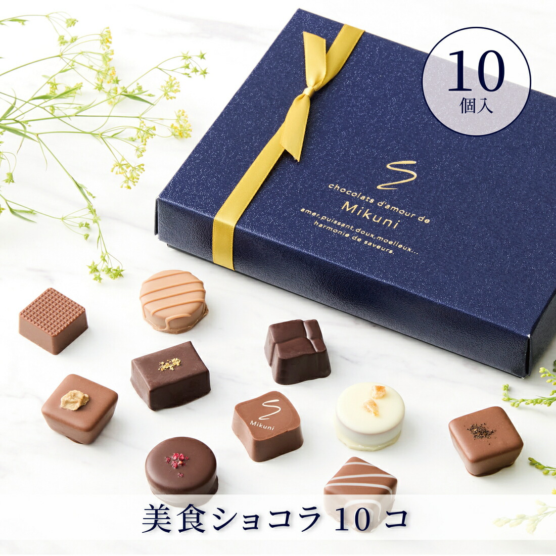 楽天市場】【A配送】ショコラ・ダムール・ドゥ・ミクニ 美食ショコラ5