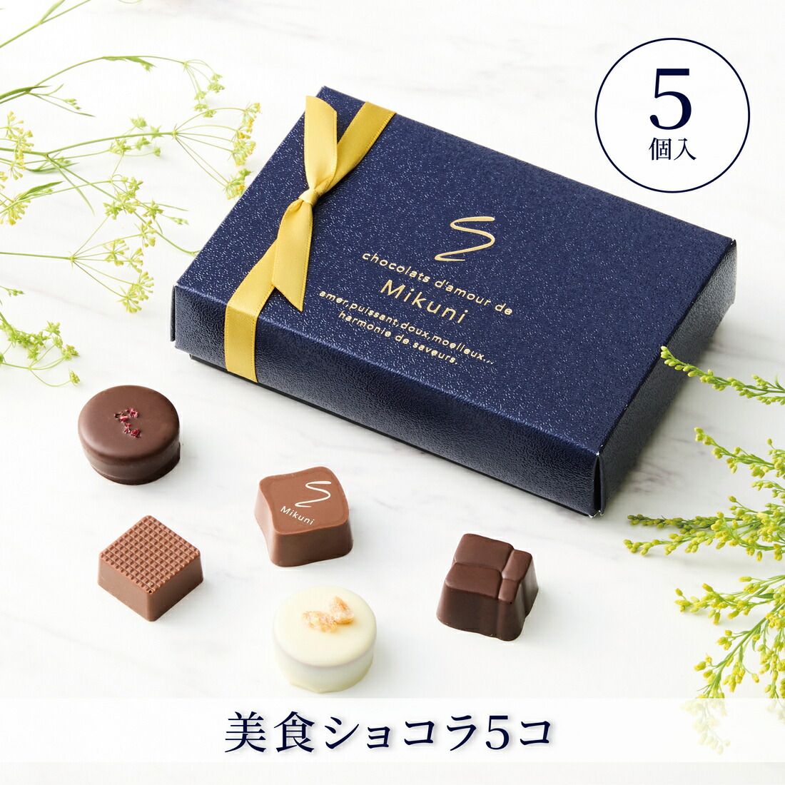 楽天市場】【A配送】ショコラ・ダムール・ドゥ・ミクニ 美食ショコラ7