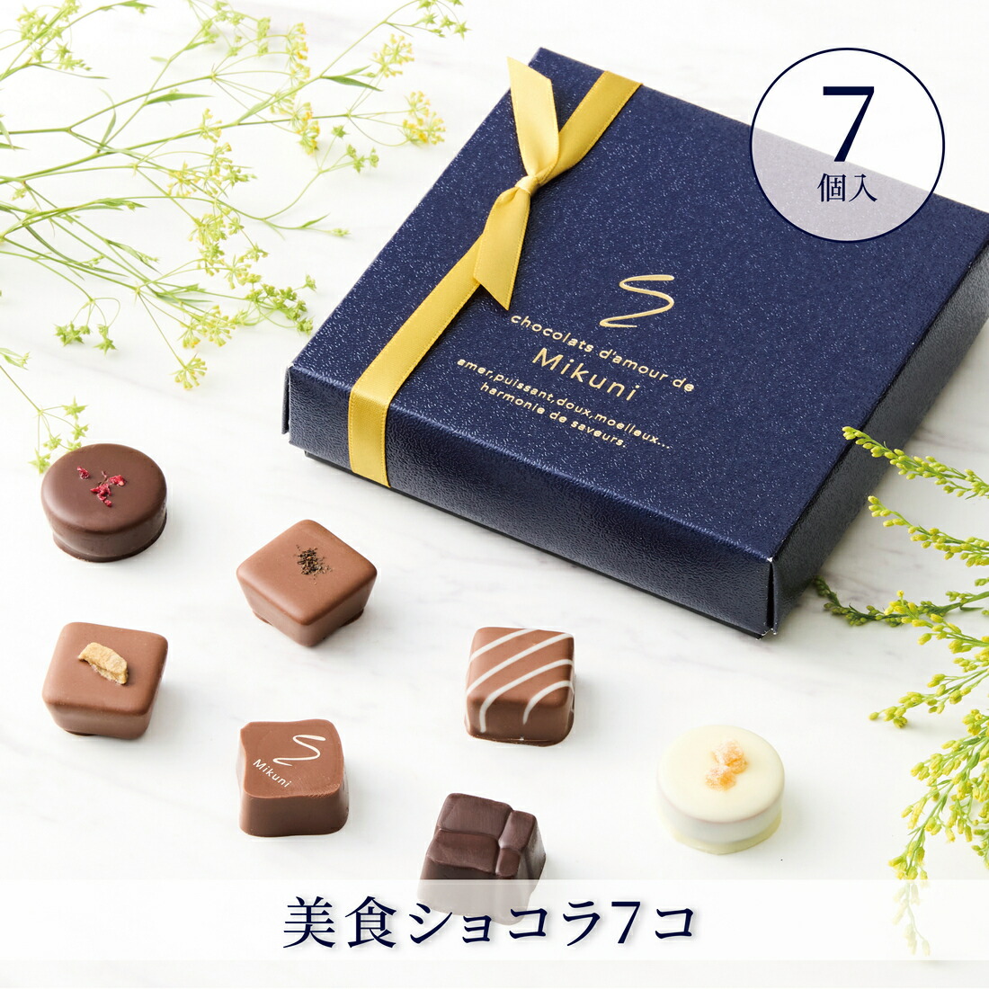 楽天市場】【A配送】ショコラ・ダムール・ドゥ・ミクニ 美食ショコラ5