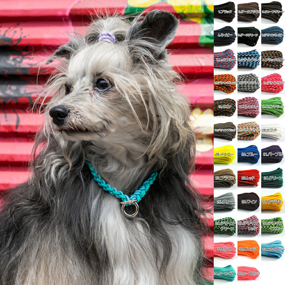 楽天市場】【3/32 選べるカラー35色/オーダーメイド】犬用