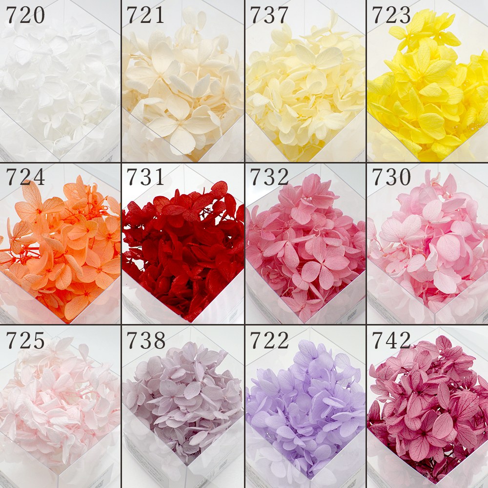 楽天市場】【P10倍 12/31まで！】 ドライフラワー 花材 即日出荷